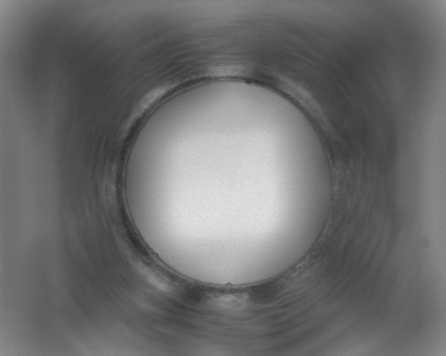 X0000062150155200512231541