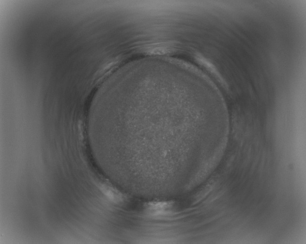 X0000062150161200512231542
