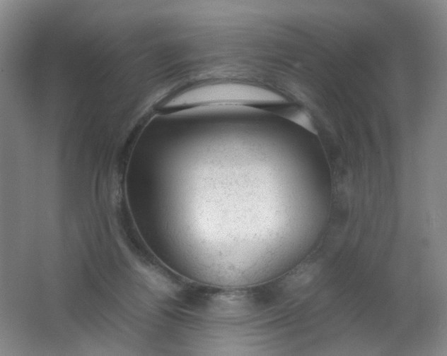 X0000062150164200512231542