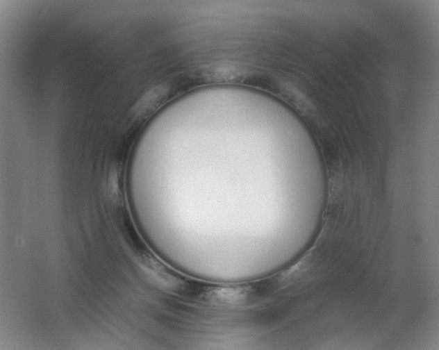 X0000062150166200512231542