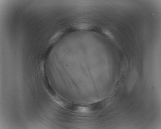 X0000062150167200512231542
