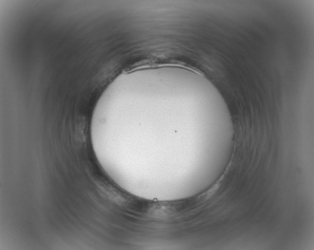 X0000062150174200512231542