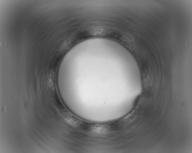 X0000062150175200512231542