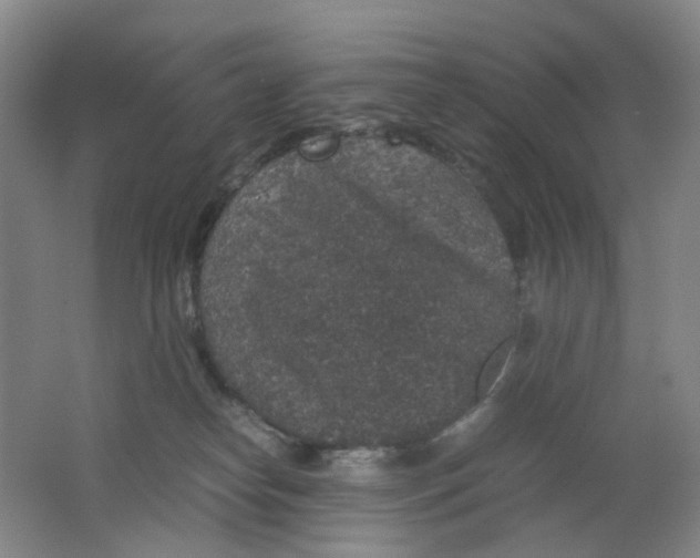 X0000062150182200512231542