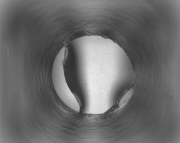 X0000062150186200512231542