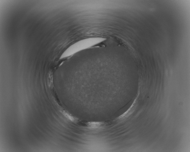 X0000062150192200512231542