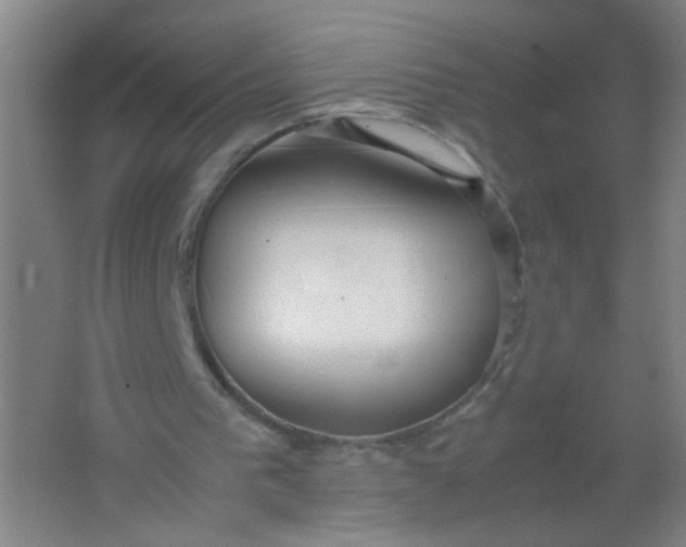 X0000062150193200512231541