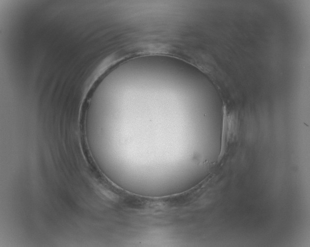 X0000062150195200512231541