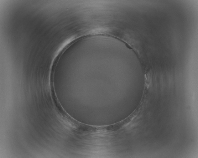 X0000062150196200512231541