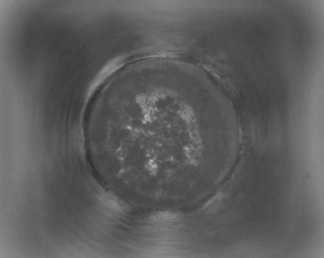 X0000062150198200512231541
