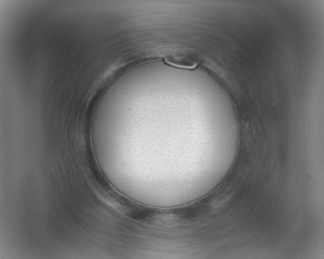X0000062150203200512231541
