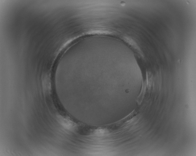 X0000062150204200512231541