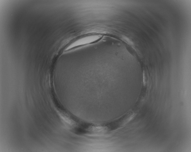 X0000062150205200512231541