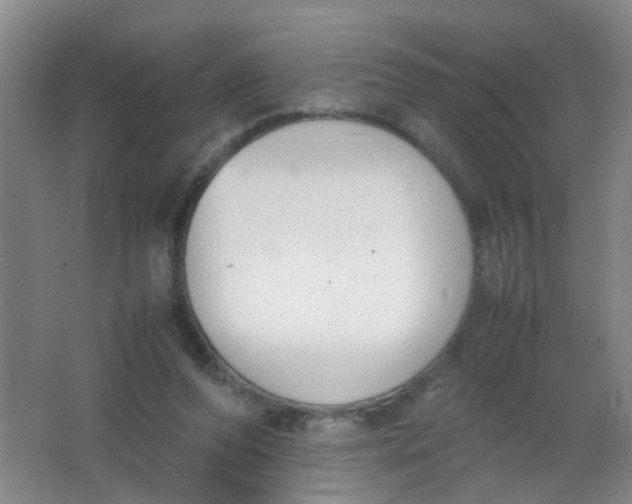X0000062150208200512231541