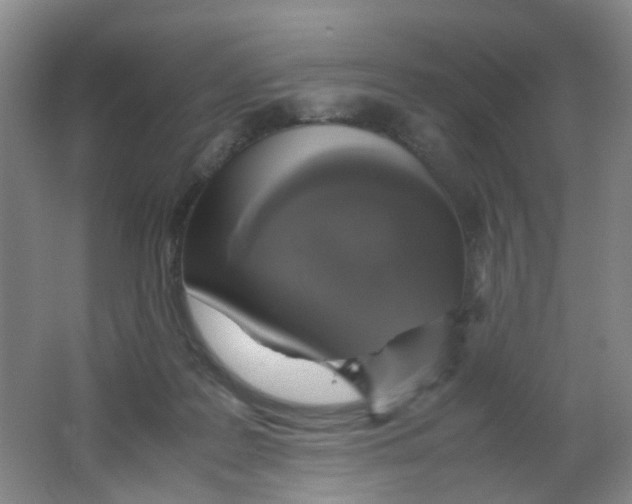 X0000062150219200512231541
