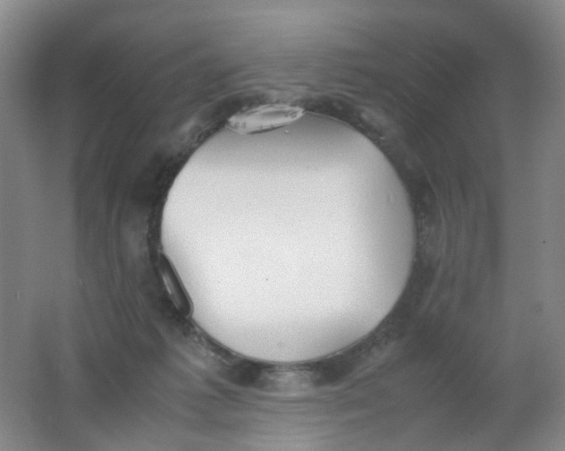 X0000062150221200512231541