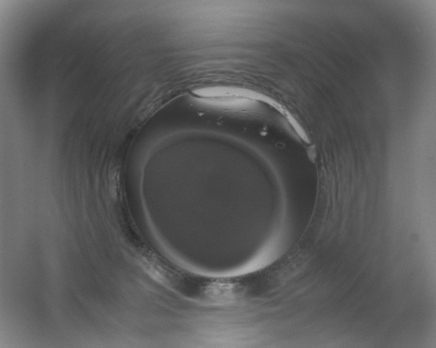 X0000062150227200512231541