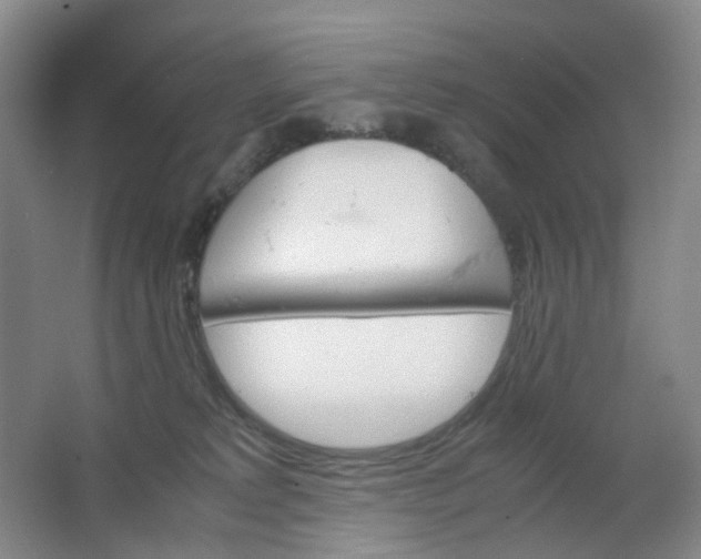 X0000062150229200512231541