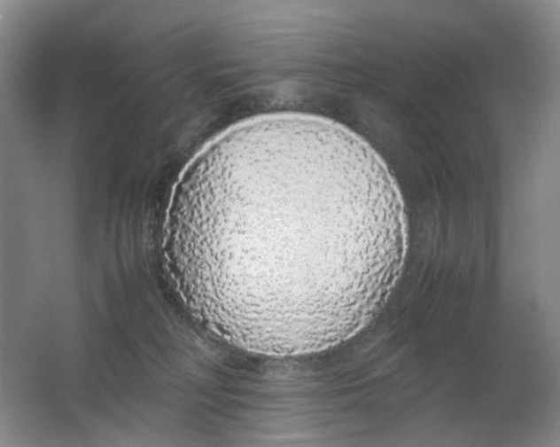 X0000062150230200512231541