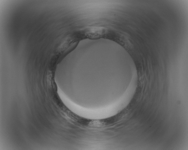 X0000062150231200512231541