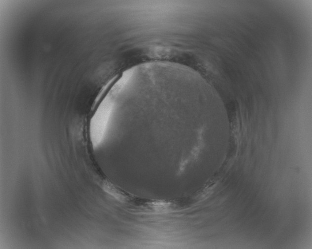 X0000062150233200512231541