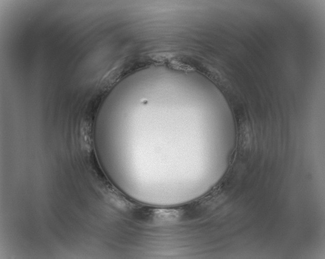 X0000062150234200512231541