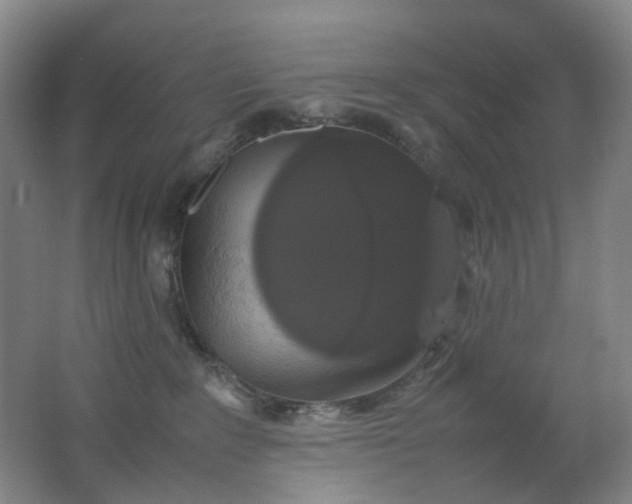 X0000062150235200512231541