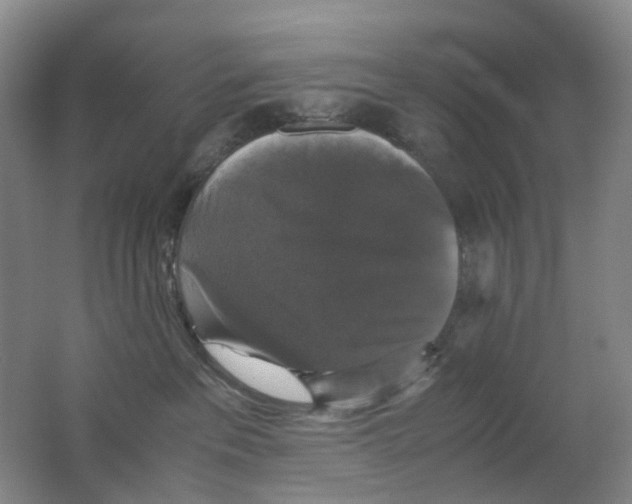 X0000062150237200512231541
