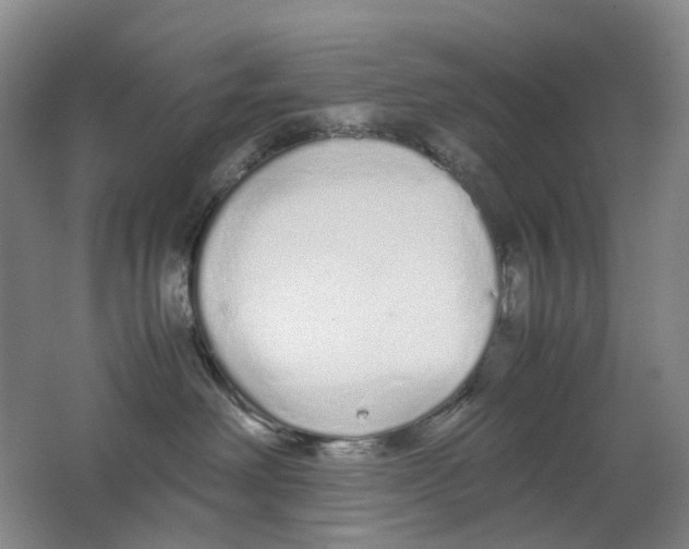 X0000062150238200512231540