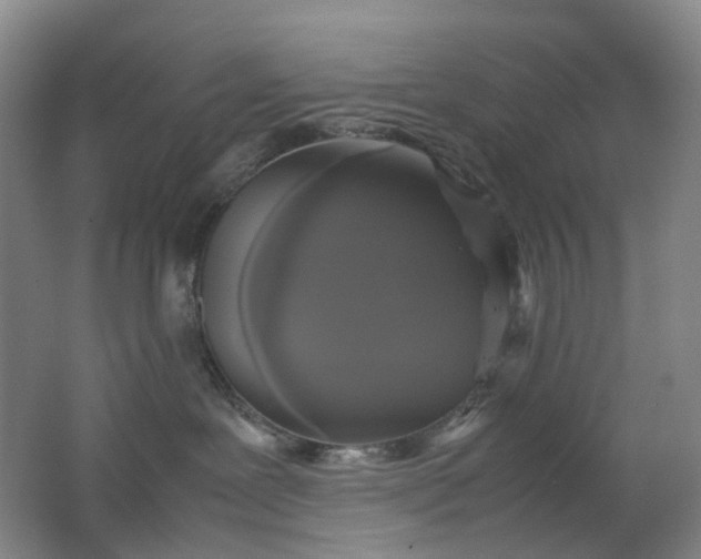 X0000062150239200512231540