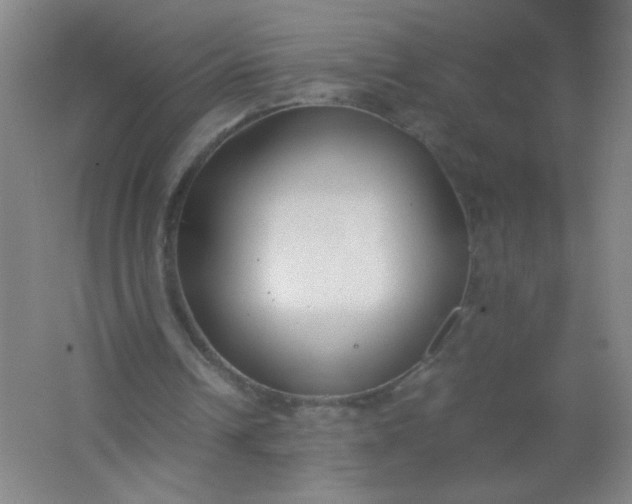 X0000062150242200512231540