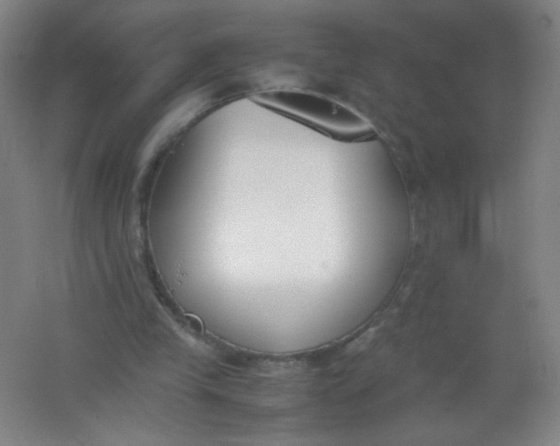 X0000062150245200512231540