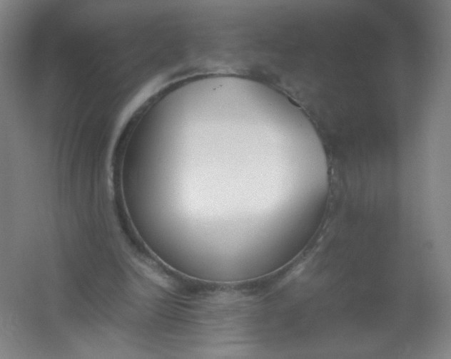 X0000062150246200512231540