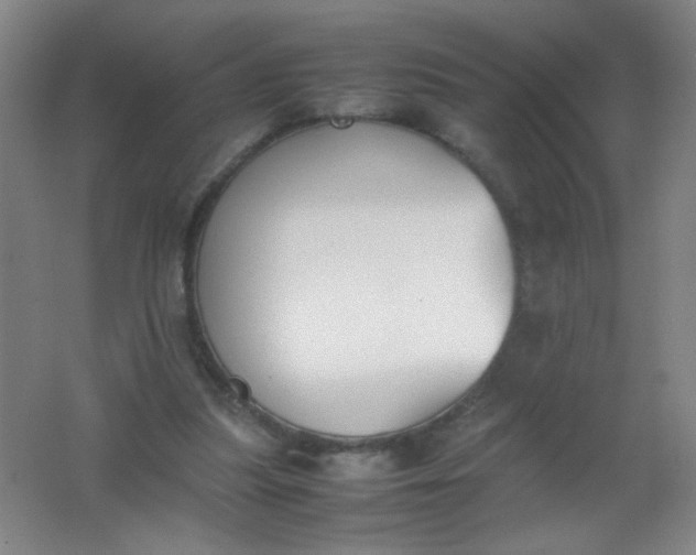 X0000062150251200512231540
