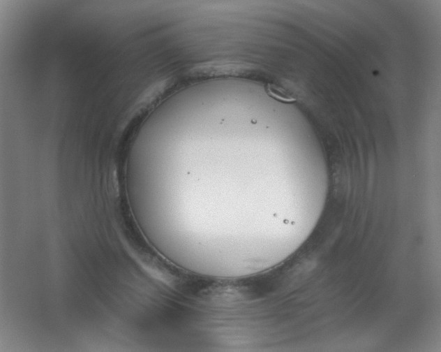 X0000062150254200512231540