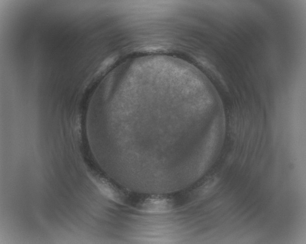 X0000062150260200512231540