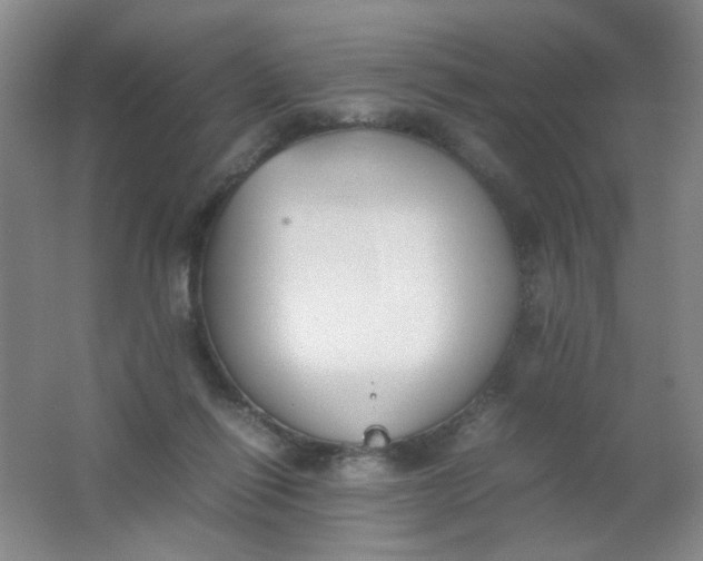 X0000062150262200512231540