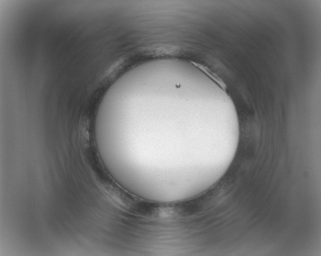 X0000062150264200512231540