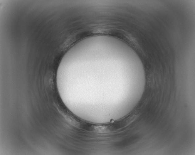 X0000062150265200512231540