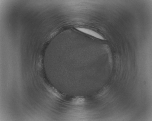 X0000062150266200512231540