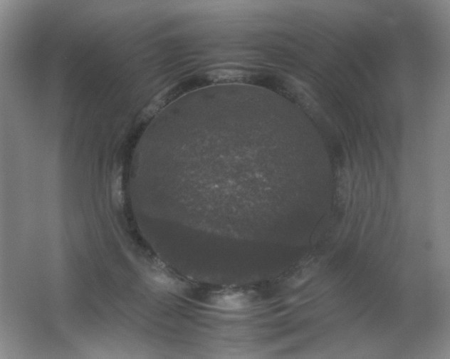 X0000062150267200512231540