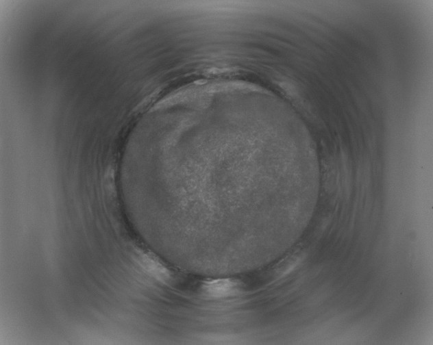 X0000062150269200512231540