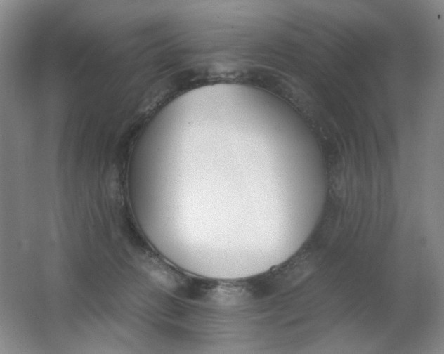X0000062150270200512231540