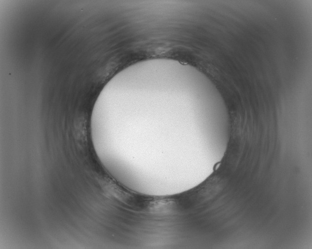 X0000062150274200512231540