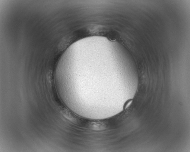 X0000062150275200512231540