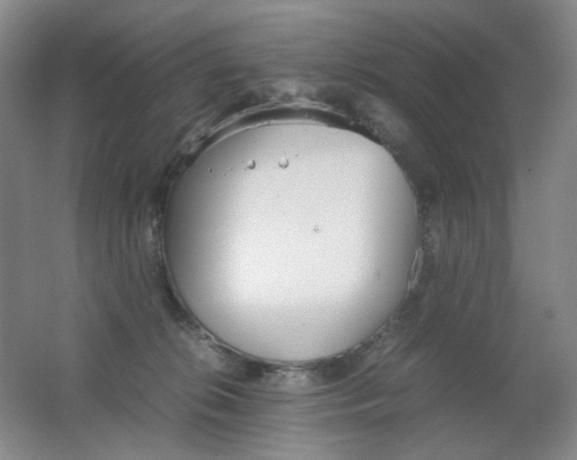 X0000062150276200512231540