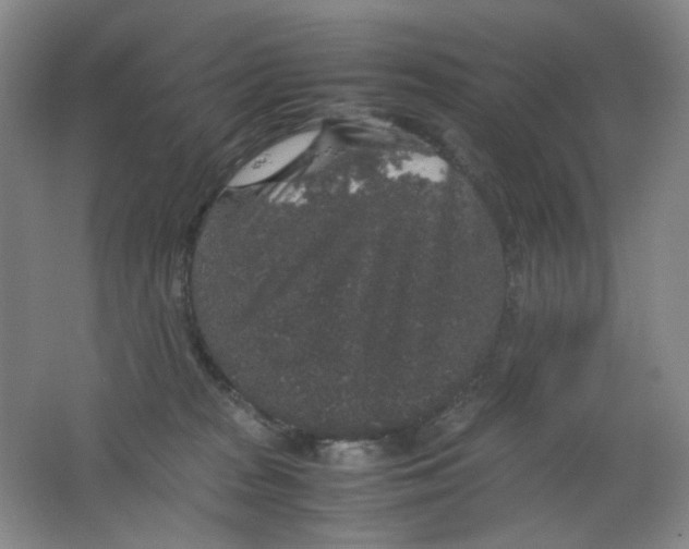 X0000062150277200512231540