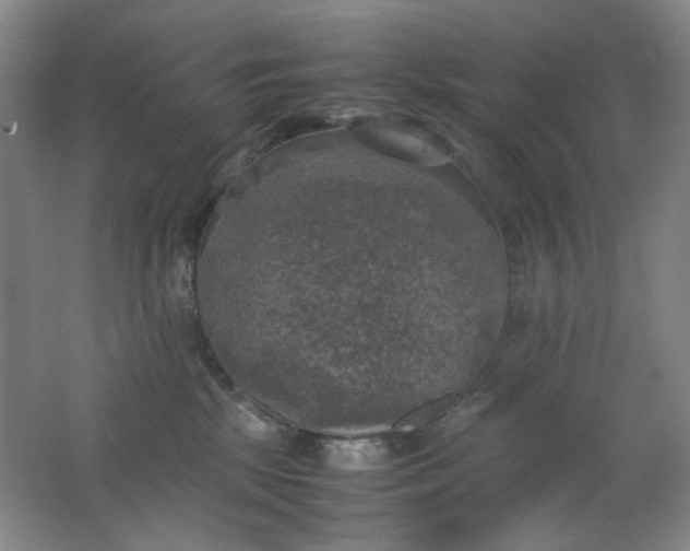 X0000062150281200512231540
