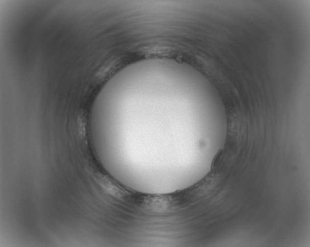 X0000062150282200512231540