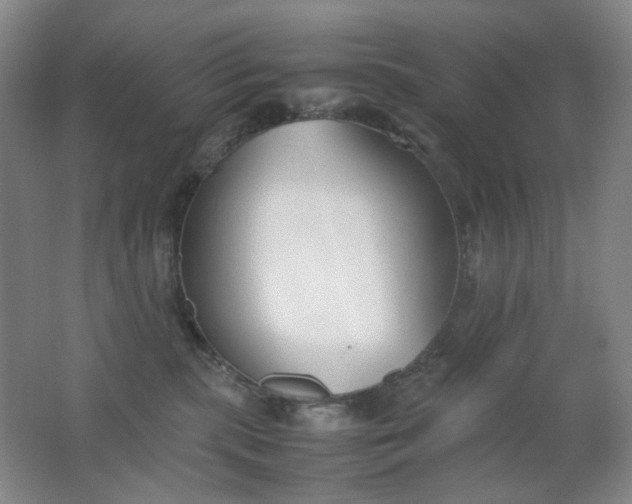 X0000062150283200512231540
